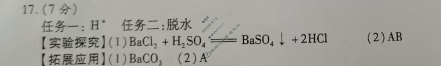 [益卷]2025年陕西省初中学业水平考试突破卷T-3化学答案