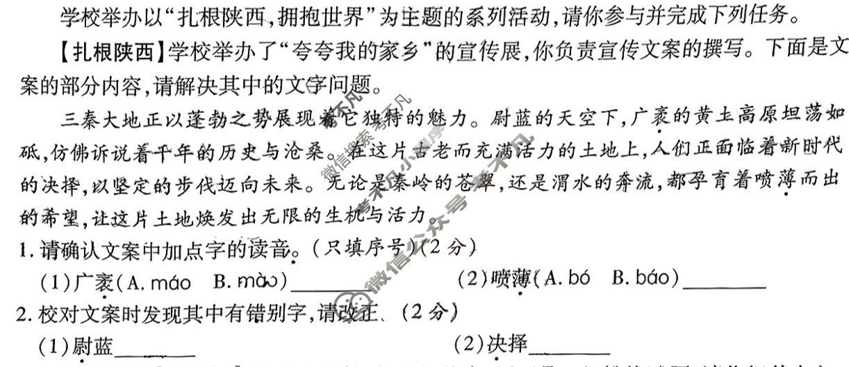[X-2]2025年陕西省初中学业水平考试信息卷语文A试题