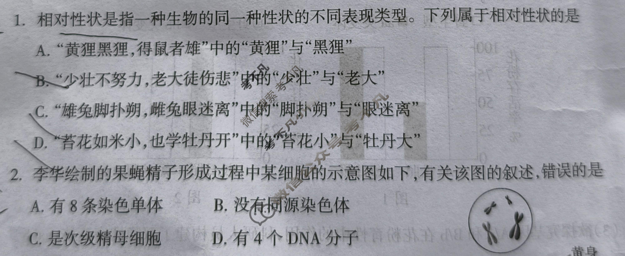 山西省阳泉市2024-2025学年度高一年级第二学期期末教学质量监测生物试题