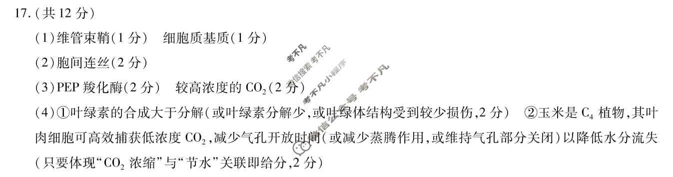 [天一大联考]2024-2025学年湖南省高一联考(7月)生物答案