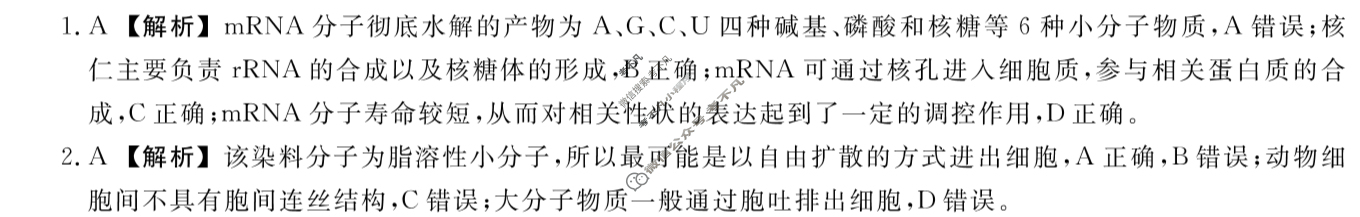2024~2025年高一下学期期末联考考试(7月)生物答案