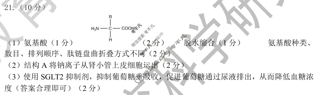 2025年深圳市普通高中高一年级调研考试(2025.7)生物答案