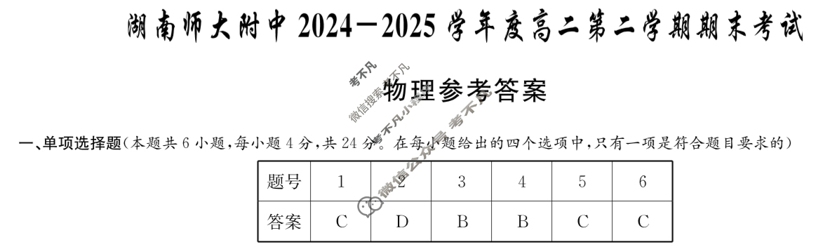 炎德英才大联考(附中版)湖南师大附中2024-2025学年度高二第二学期期末考试物理答案