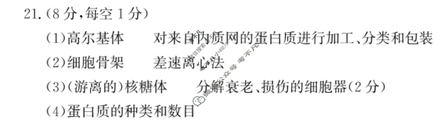 2024~2025学年高二教学质量检测测(2025.7)生物答案