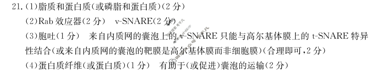 金太阳辽阳市2024-2025学年高二期末考试生物答案