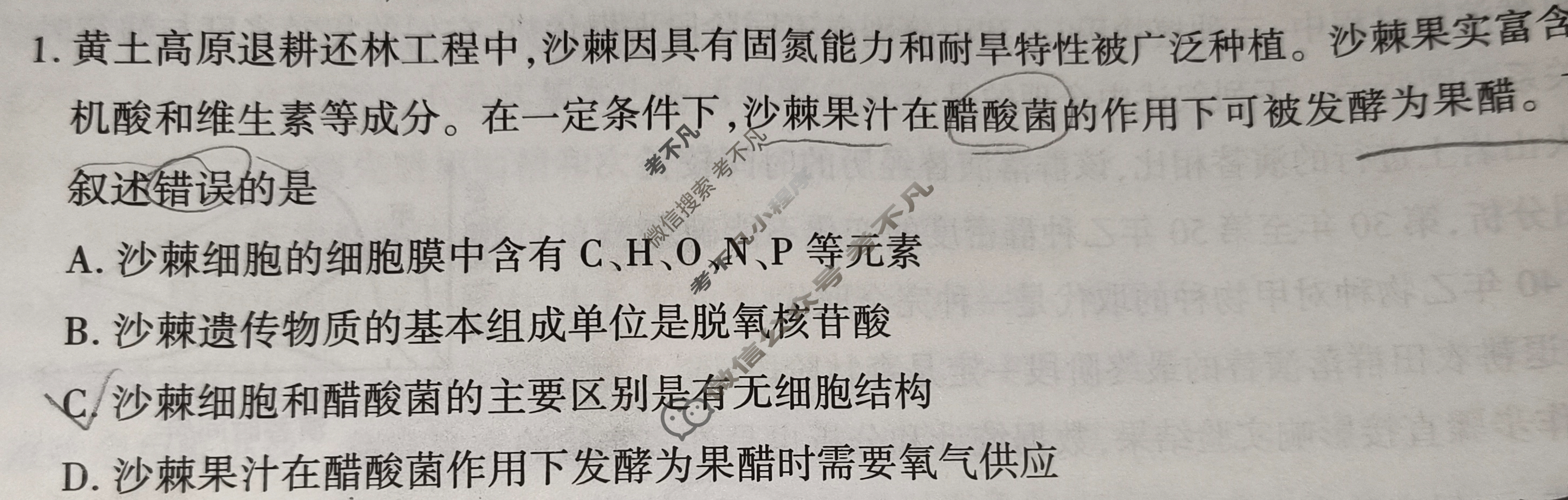 2024-2025学年榆林市普通高中过程性评价质量检测高二年级(7月)生物试题