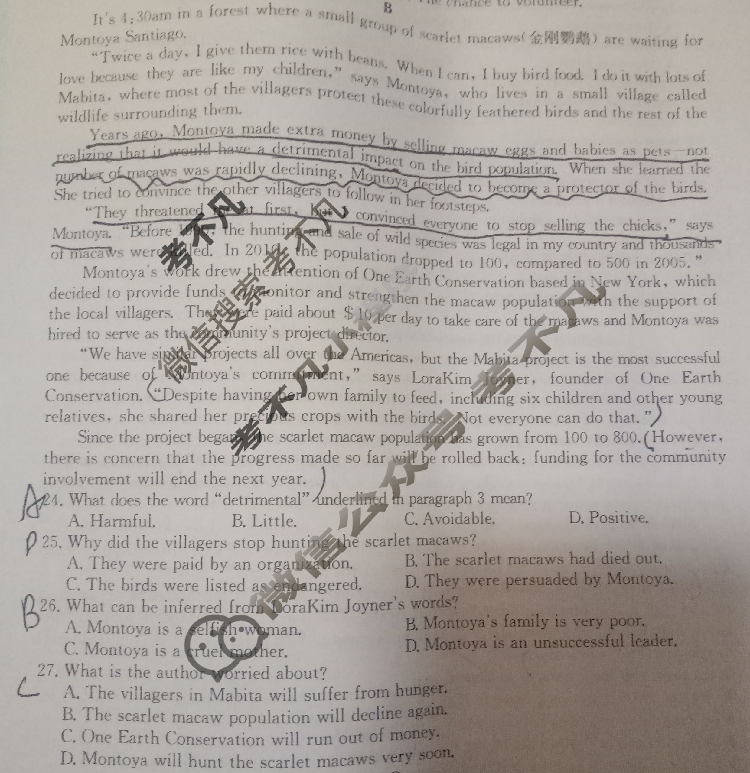 高中2026届全国名校高三单元检测示范卷·英语(一)1试题