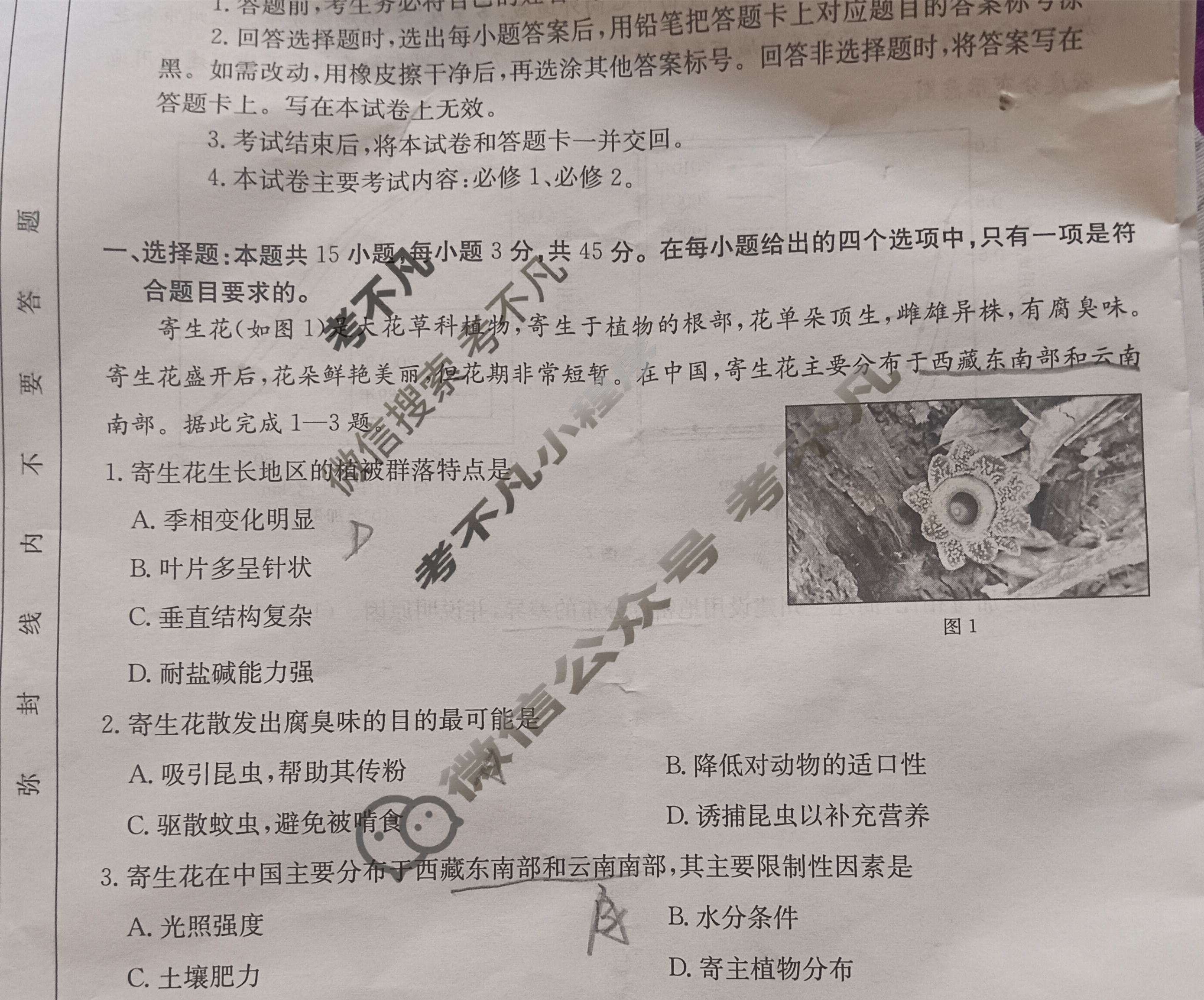 青海省金太阳2024-2025学年高一试卷7月联考(7.9)地理试题