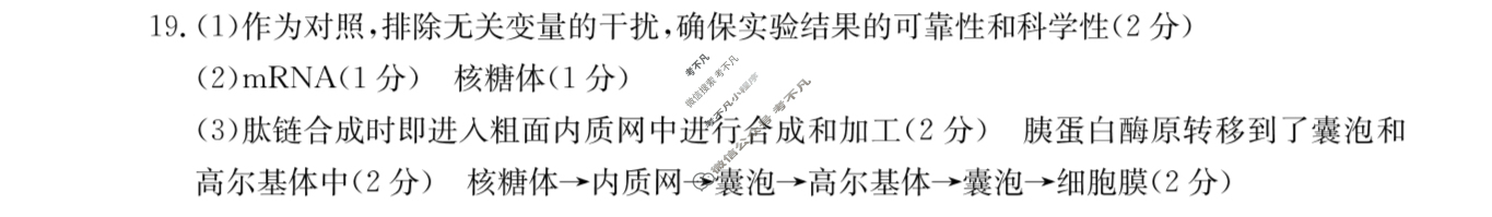 河北省金太阳2024-2025学年高二考试7月联考(7.9)生物答案