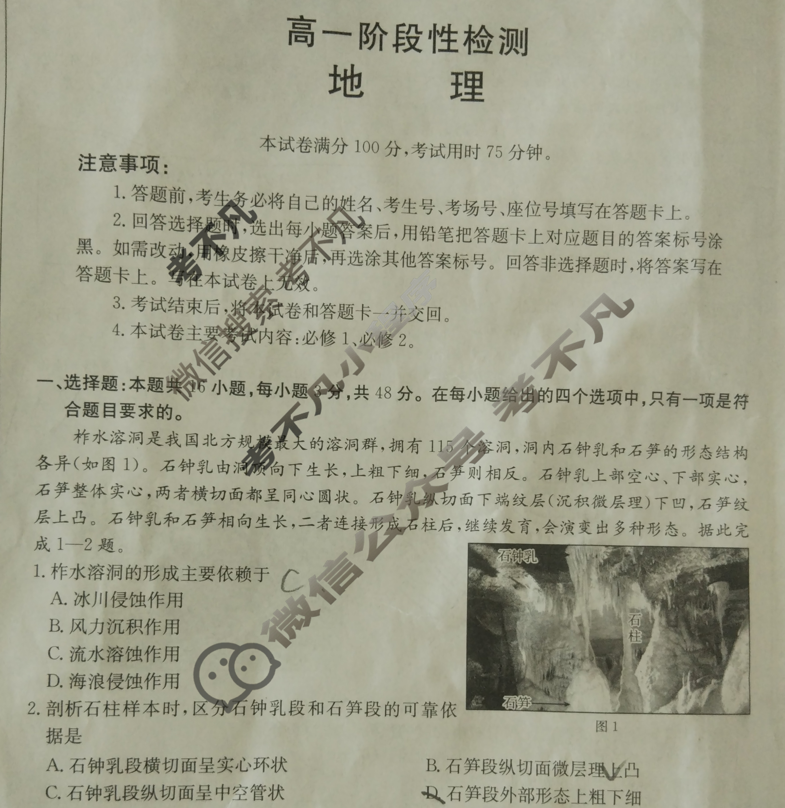 甘肃省金太阳2024-2025学年高一阶段性检测(25-602A)地理试题