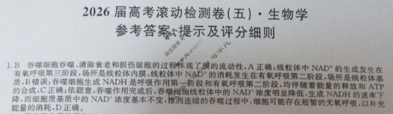 高三2026届高考滚动检测卷(五)5生物A答案