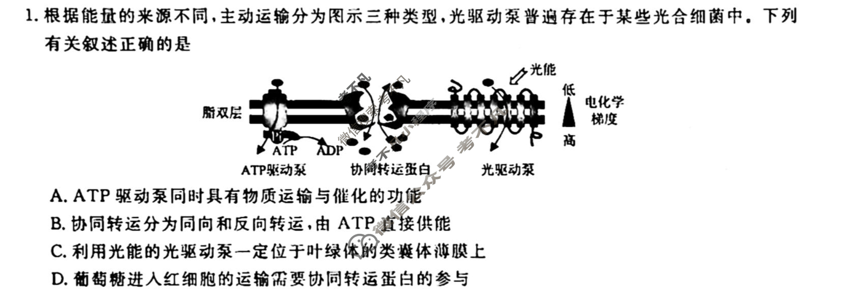 [衡水金卷先享题]2025-2026高三一轮复习单元检测卷/生物学U(八)8试题