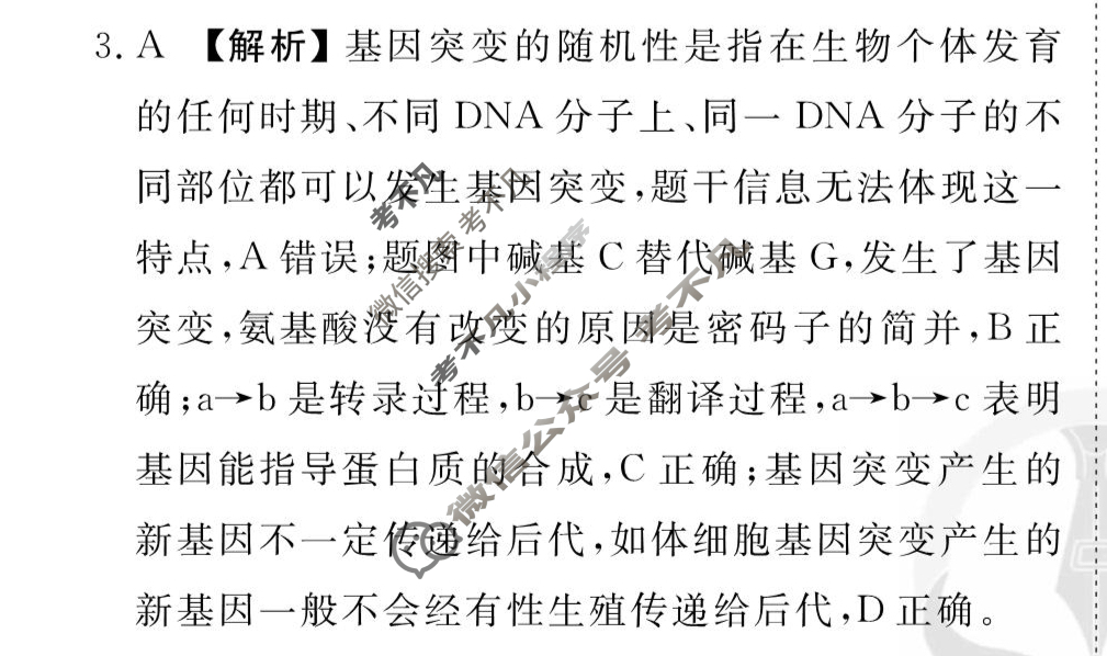 [衡水金卷先享题]2025-2026高三一轮复习40分钟周测卷/生物学J(十三)13答案