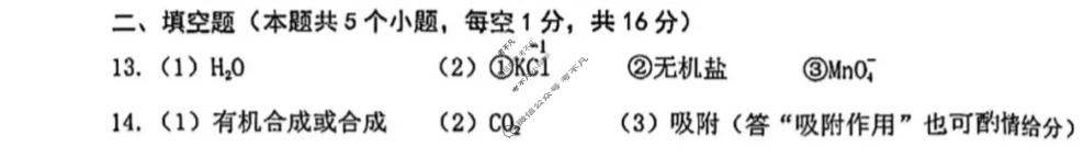 [中考真题]黑龙江绥化市2025年初中学业水平考试化学答案