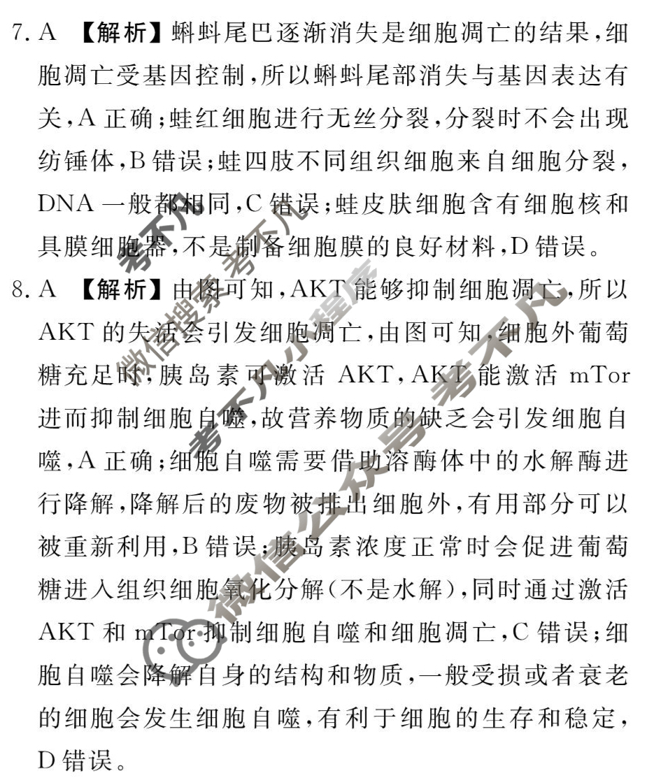 [衡水金卷先享题]2025-2026高三一轮复习周测卷/生物学R(六)6答案