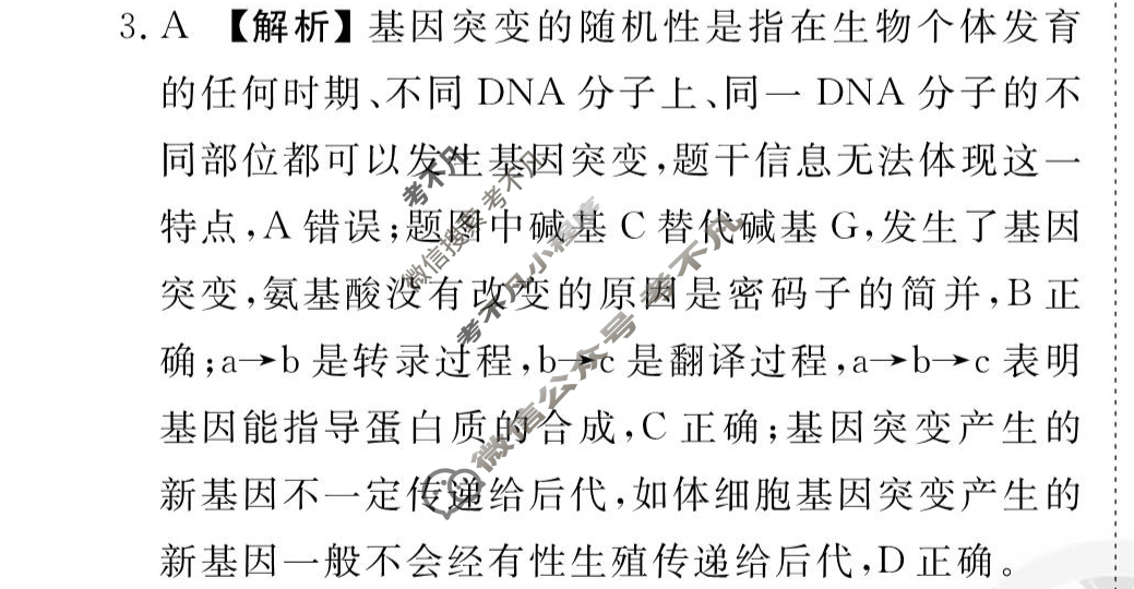[衡水金卷先享题]2025-2026高三一轮复习40分钟周测卷/生物学Y(十三)13答案