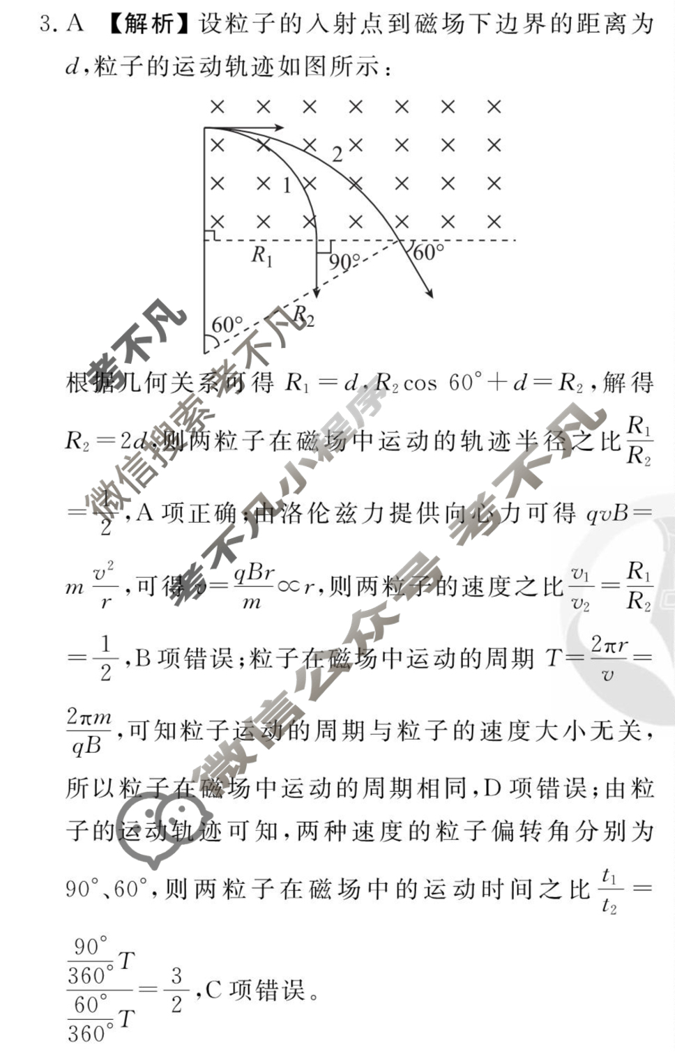 [衡水金卷先享题]2025-2026高三一轮复习40分钟周测卷/物理Y(十九)19答案