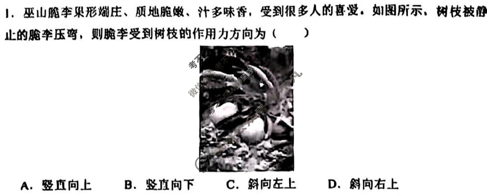 巴蜀中学高2026届高三第一次适应性考试物理试题