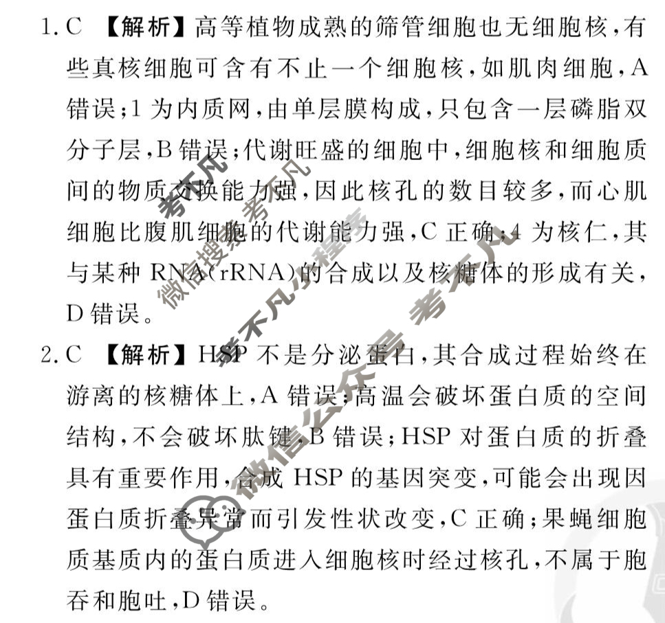 2025年衡水金卷先享题·信息卷 普通高中学业水平选择性考试模拟试题 生物学(山东专版)(一)1答案