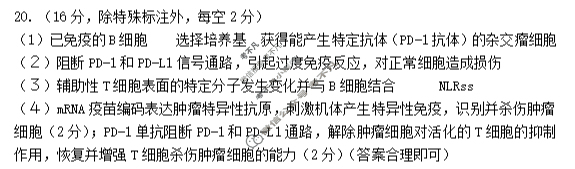 湖北省"腾·云"联盟2025-2026学年度高三上学期8月联考生物答案