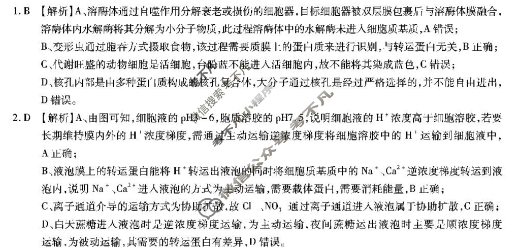 江淮十校2026届高三第一次联考(2025.8)生物答案