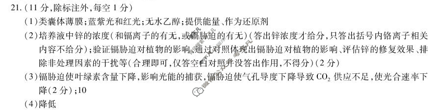黑龙江省新时代高中教育联合体2025-2026学年高三上学期开学考(8月)生物答案