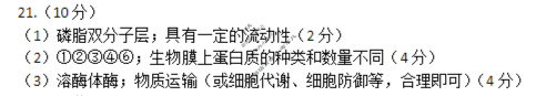 日照市2023级高三上学期校际联合考试(2025.9)生物答案