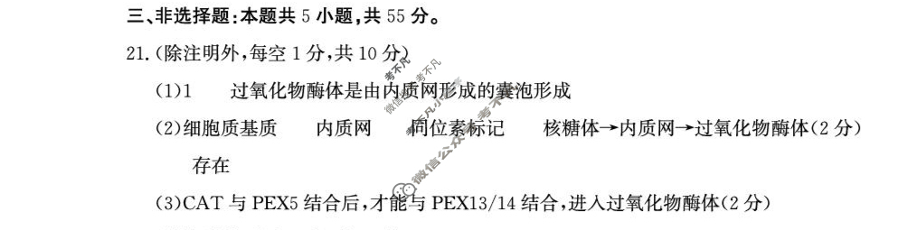 德州市2025-2026学年高三上学期开学考(2025.9)生物答案