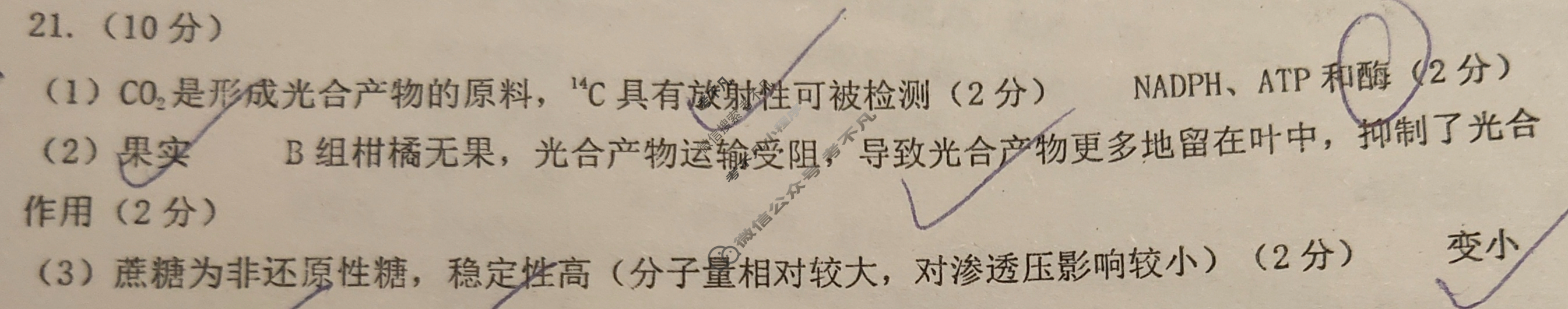 九五高中协作体2026高三年级开学质量检测(九五联考)生物答案