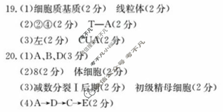 河北省金太阳2025-2026学年高二暑假开学考试9月联考(26-21B)生物答案