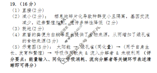 2025~2026学年度武汉市部分学校高三年级九月调研考试生物答案
