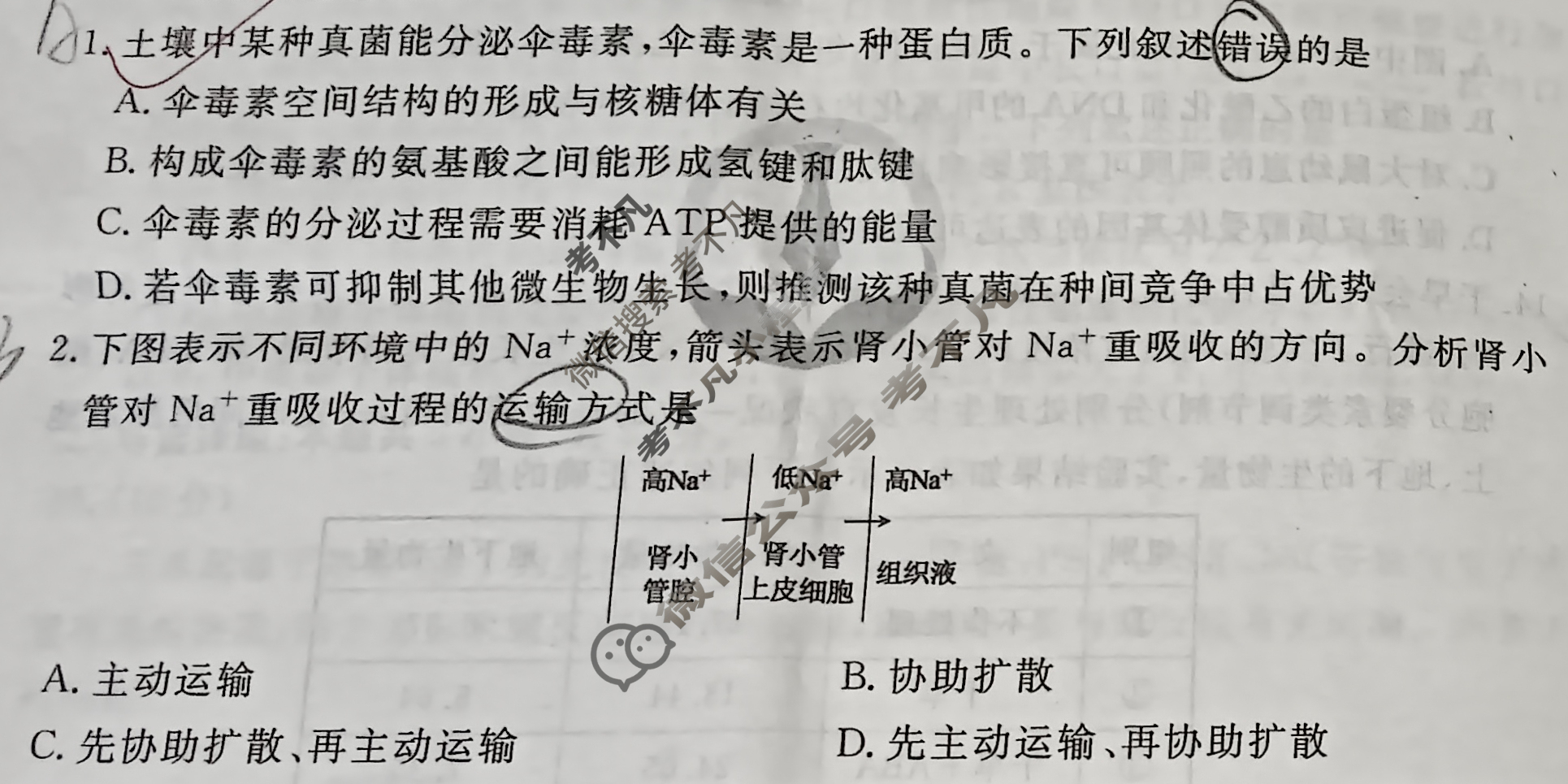 衡水金卷先享题 2025-2026学年度高三一轮复习摸底测试卷·摸底卷 生物学Y(一)1试题