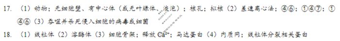 广东省华侨中学2025-2026学年第一学期高三第一次质检考试生物答案