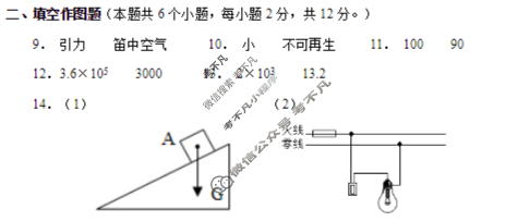 西北狼教育联盟2025年高一学情诊断物理答案