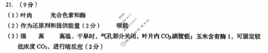 青岛市2026届高三年级期初调研检测(2025.09)生物答案 青岛市2026届高三年级期初调研检测(2025.09)生物答案