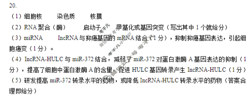 江苏省2026届高三年级期初阳光调研(9月)生物答案
