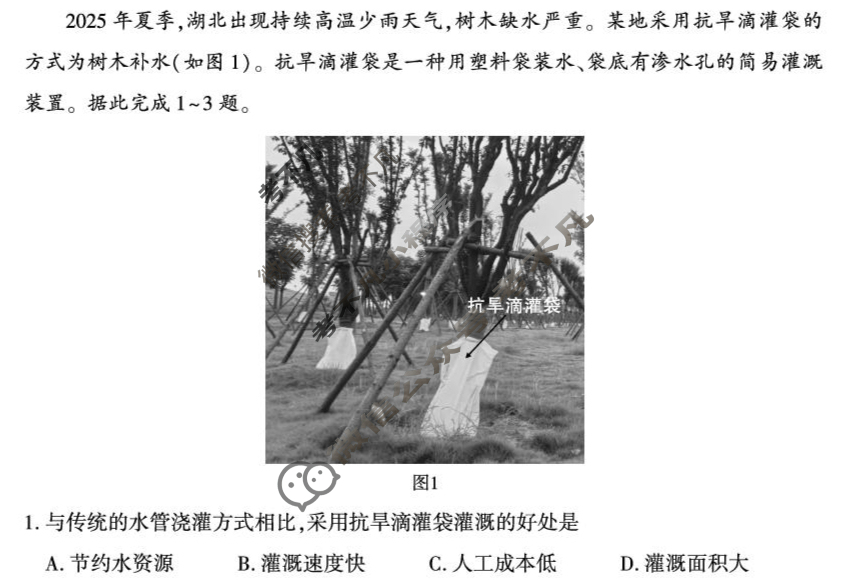 宜昌市2026届高三9月起点考试地理试题