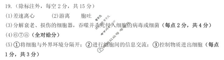 黄冈市2025年高三年级9月调研考试生物答案