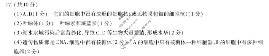 [天一大联考]2025-2026学年(上)高一年级秋季检测(河南)生物答案