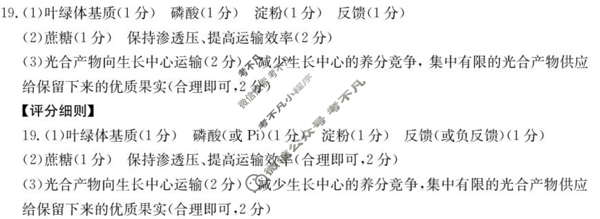 河北省金太阳2025-2026学年高三考试9月联考(9.24)生物答案