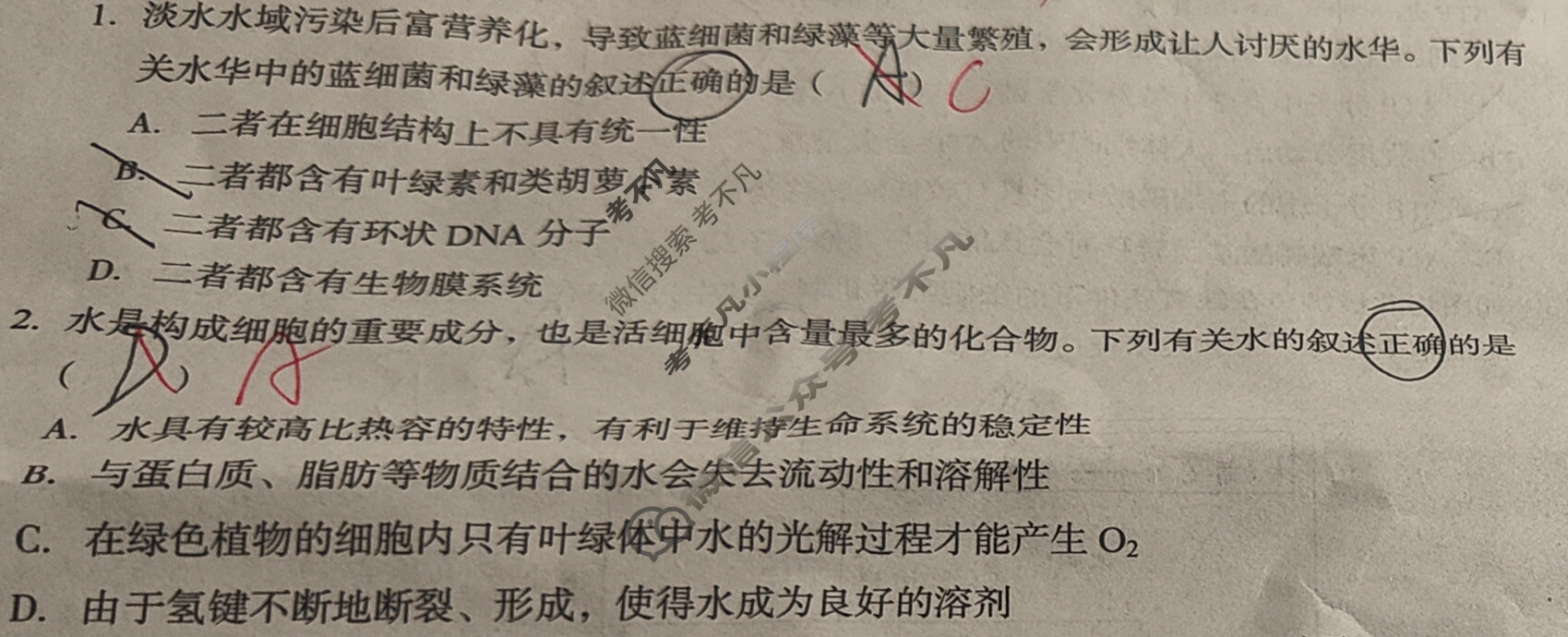 [1号卷]A10联盟2026届高三上学期9月学情诊断生物试题