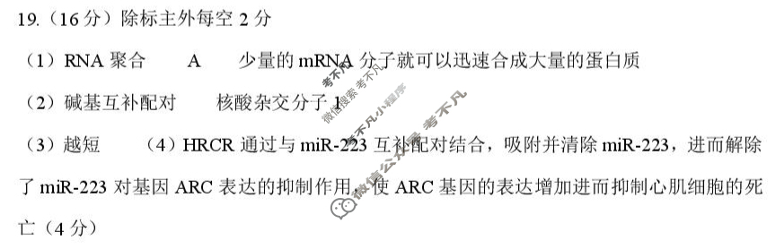 2025-2026学年十堰市八校交联体高二9月联考生物答案