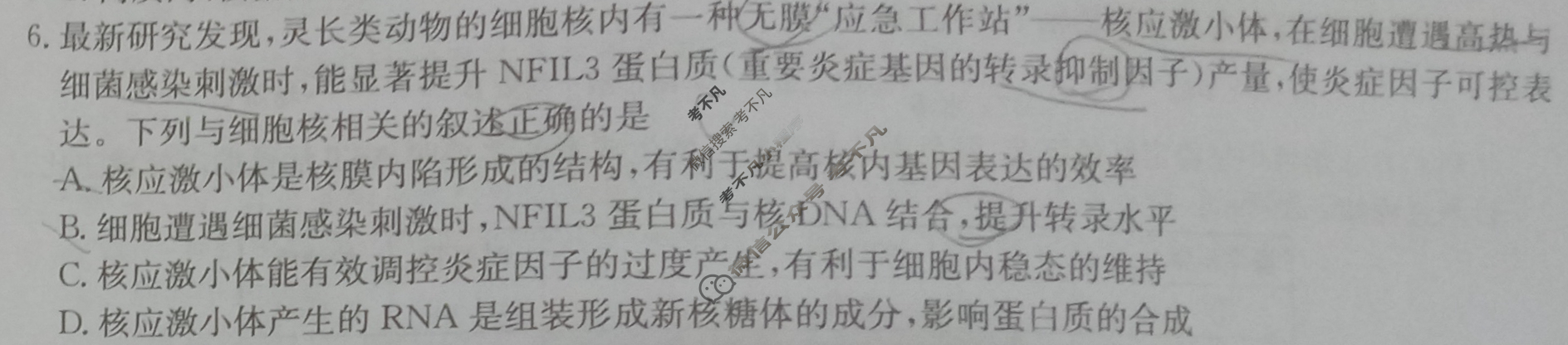 [九师联盟]2026届高三9月质量检测生物学LY试题