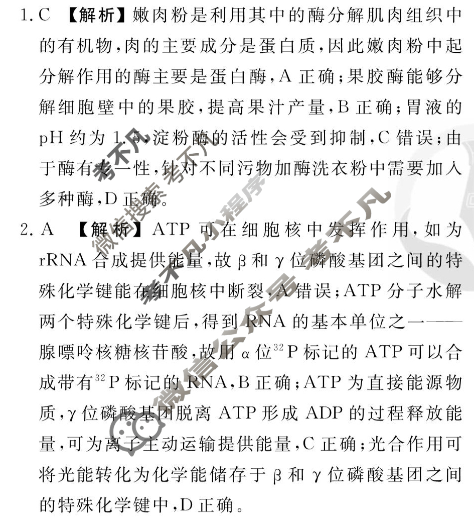 [衡水金卷先享题]2025-2026高三一轮复习40分钟周测卷/生物学R(四)4答案