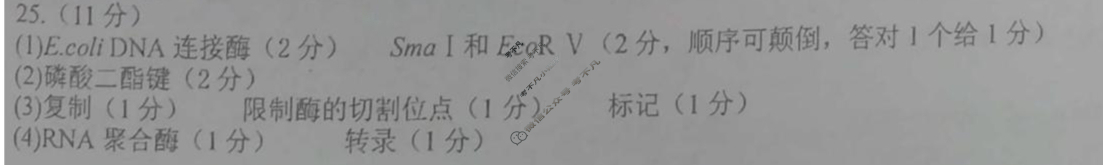 哈尔滨市第六中学2023级上学期9月测试生物答案