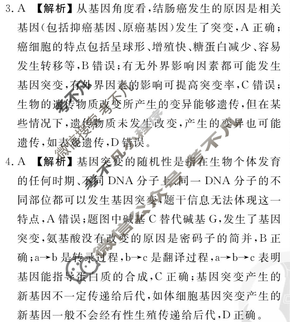 [衡水金卷先享题]2025-2026高三一轮复习40分钟周测卷/生物学M(十三)13答案