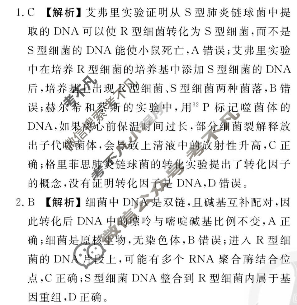 [衡水金卷先享题]2025-2026高三一轮复习40分钟周测卷/生物学G(十一)11答案