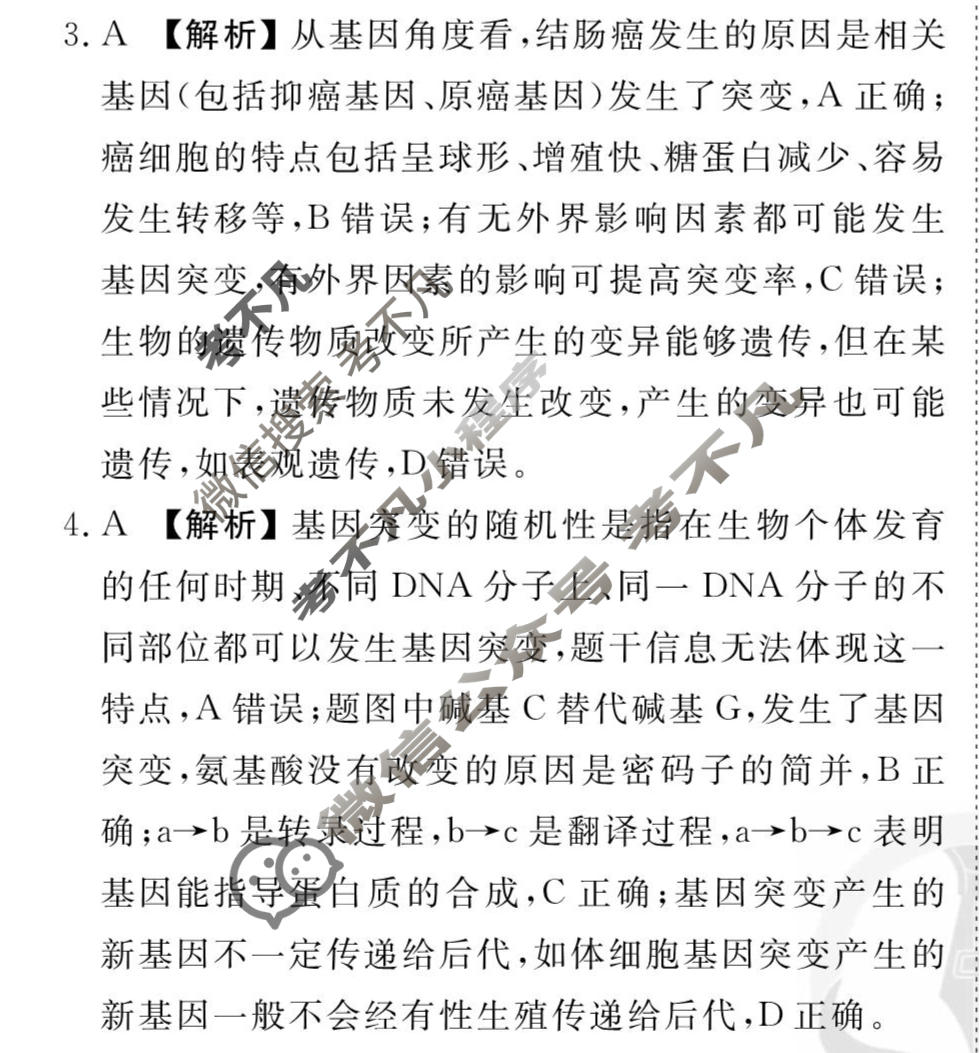[衡水金卷先享题]2025-2026高三一轮复习40分钟周测卷/生物学G(十三)13答案