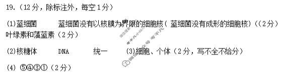 邢台一中2025-2026学年高一第一学期第一次月考生物答案