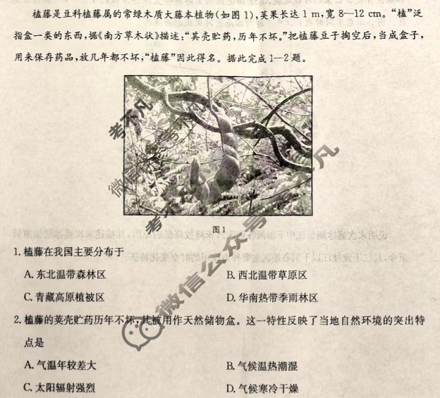陕西省金太阳2025-2026学年高二年级考试9月联考(9.25)地理试题